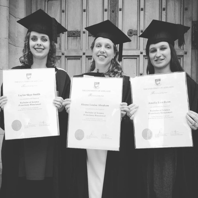 Sloane: Graduating from the University of Adelaide